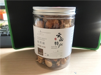 云南特产松茸菇