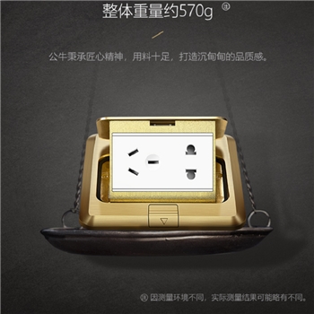公牛(BULL) 开关插座 五孔地插座 全铜5孔地插地板地面插座地插座 GD1Z223