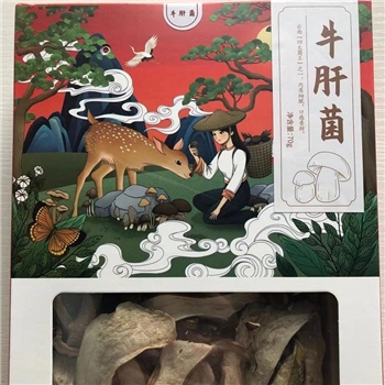 剑川丰源牛肝菌