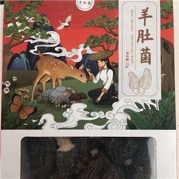 剑川丰源羊肚菌