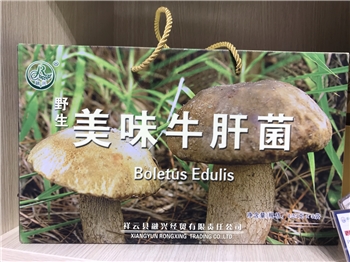 美味牛肝菌