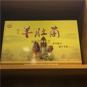 野生羊肚菌