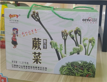 野生蕨菜礼盒