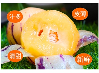 火山岩人参果5斤大果/盒