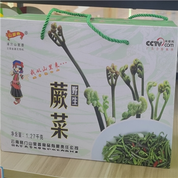 野生蕨菜礼盒