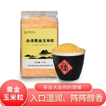 会泽黄金玉米粒