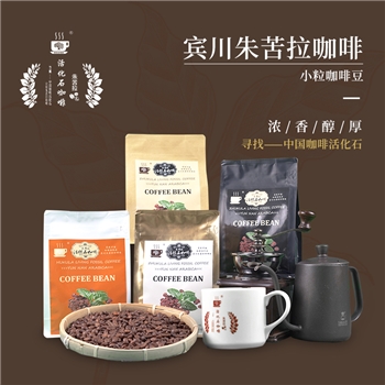 朱苦拉活化石咖啡小粒咖啡豆