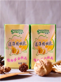 漾宝核桃乳  漾濞特产长辈伴手礼植物蛋白质纸盒装16*250ml